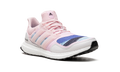 ULTRABOOST S&L DNA WMNS "Women in Power" FX7986