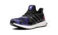 ULTRABOOST S&L DNA WMNS "Jordan E Moss" FZ2917